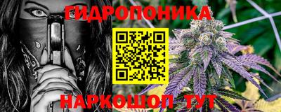 гидра Камышлов
